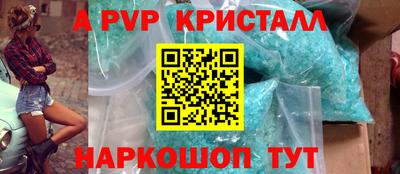 индика Кингисепп