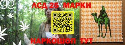 индика Кингисепп