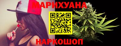 индика Кингисепп