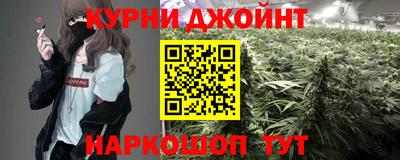 индика Кингисепп