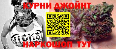 индика Кингисепп