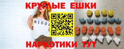 индика Кингисепп