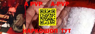 индика Кингисепп