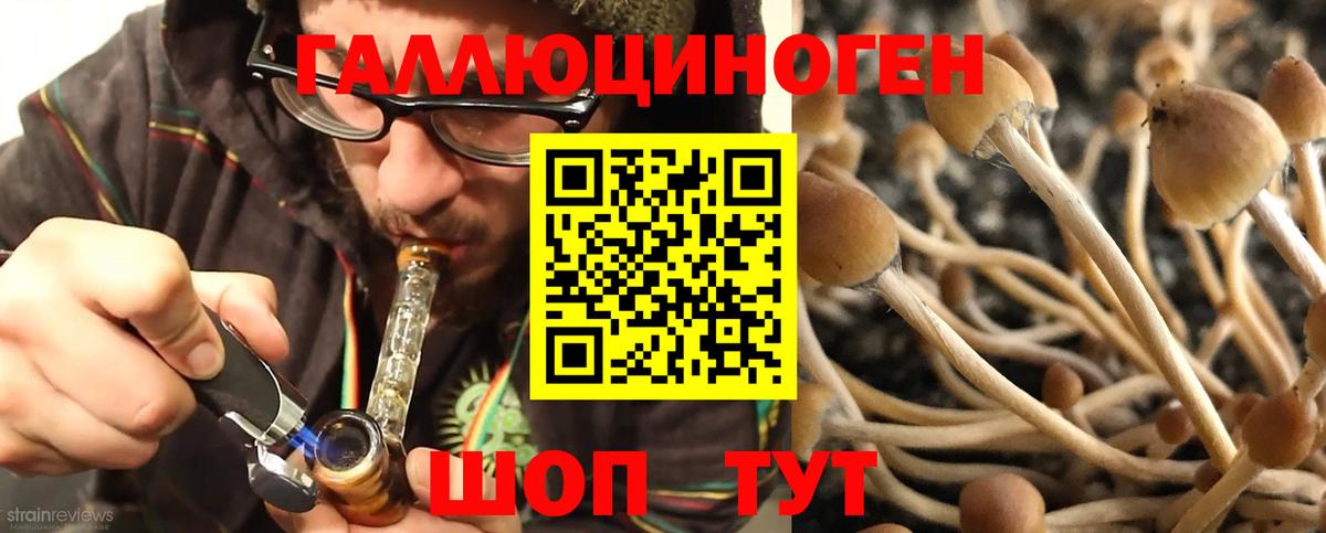 Когалым  что такое наркотик  Галлюциногенные грибы Psilocybe  Вход с VPN  Галлюциногенные грибы MAGIC MUSHROOMS 